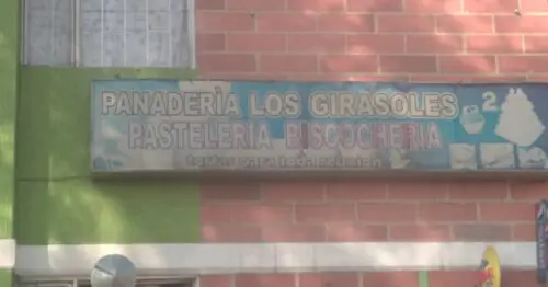 PANADERIA LOS GIRASOLES PANADERIA LOS GIRASOLES